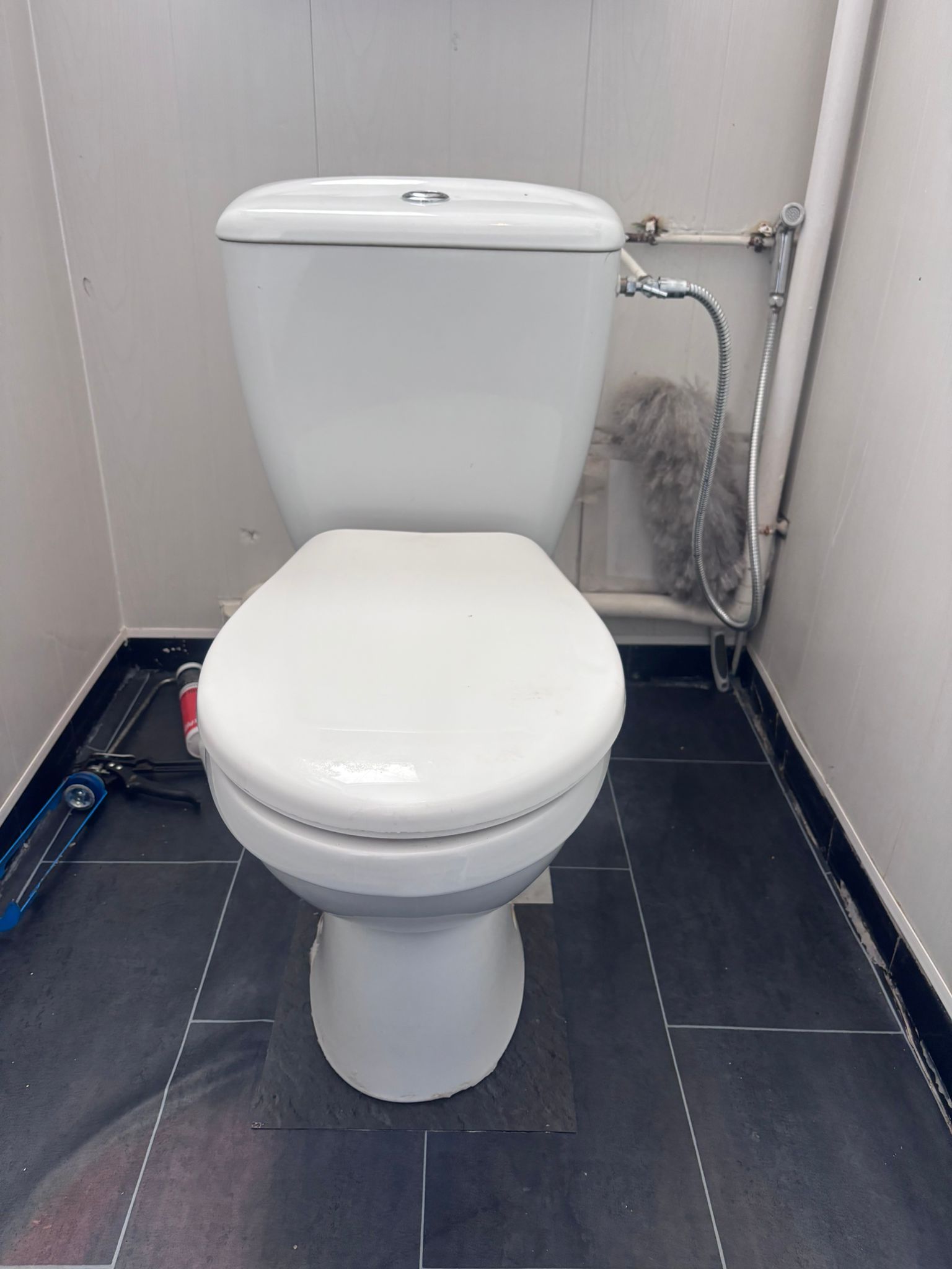 Pose WC avec reprise lino